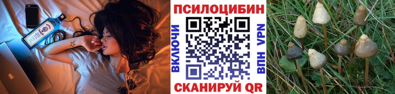 Псилоцибиновые грибы GOLDEN TEACHER  купить наркотик  Кирсанов 